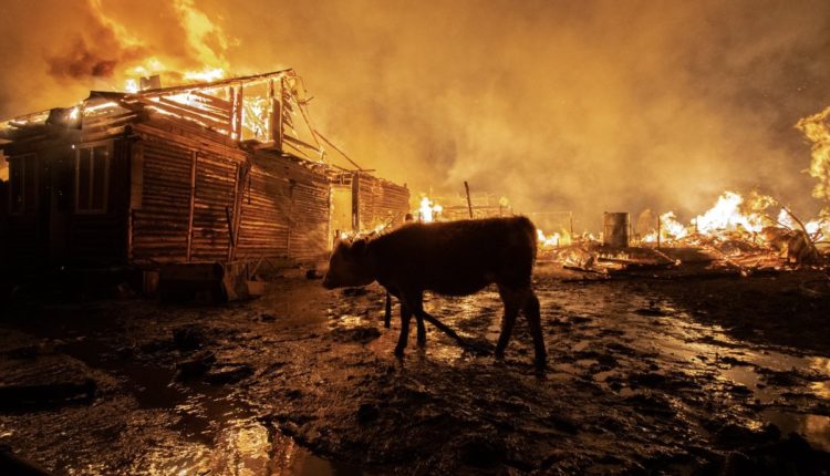 o_tuzvesz-somlyo33-pnt-15