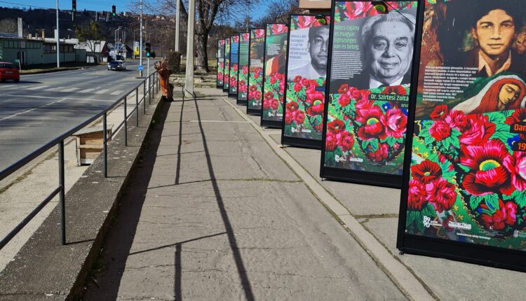 273961777_864429064365963_6249802682808667359_n