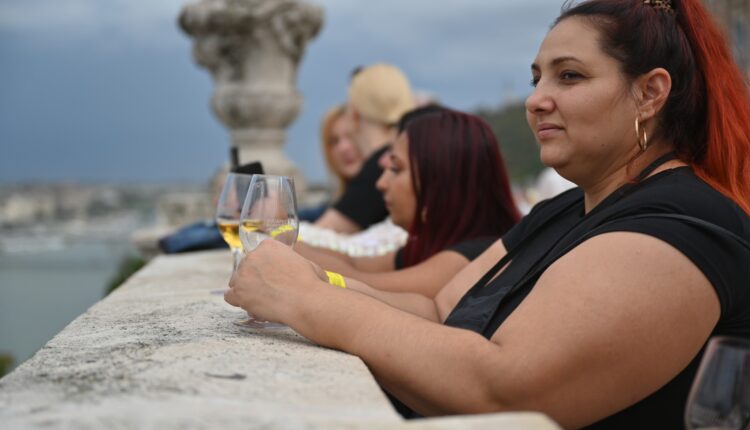 305475851_745315103176106_4736274473787298730_n