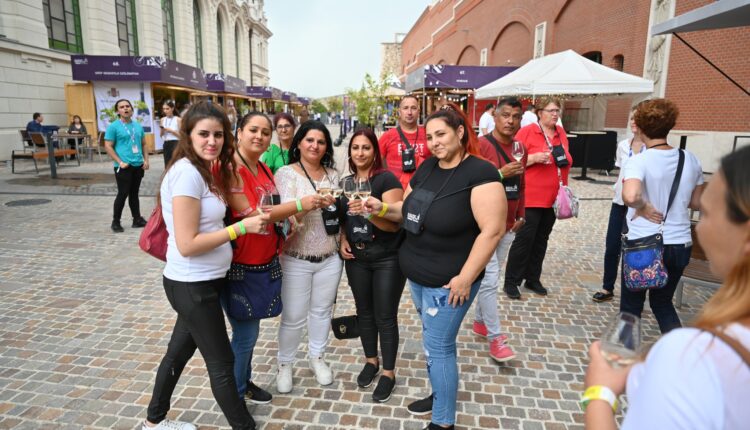 305576331_745314476509502_4080006435486708451_n