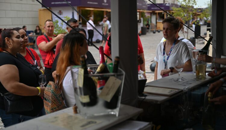 305661633_745314109842872_5118240608284394314_n