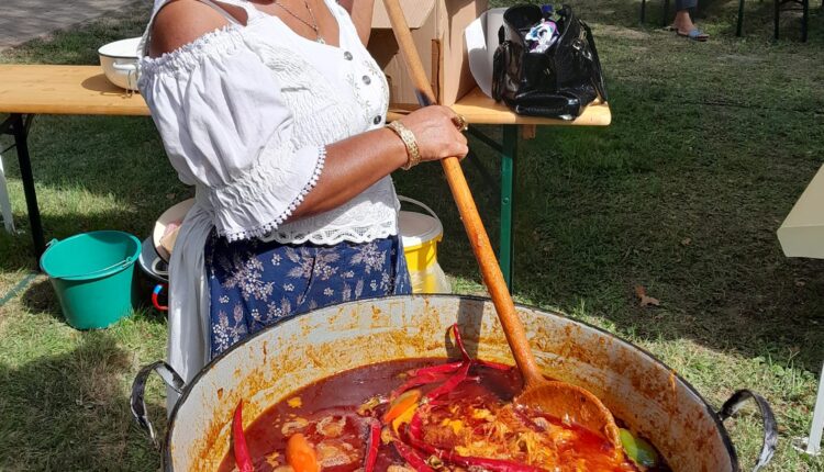 305887333_1048653302466541_9063378912752366129_n