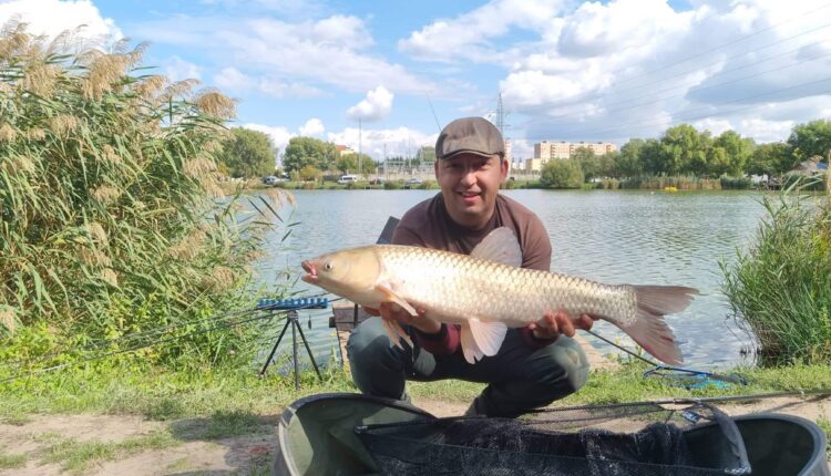 308579531_6183391385020937_2986992187951015398_n