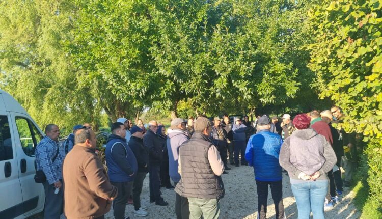 308665279_6183450265015049_6065549155225428537_n