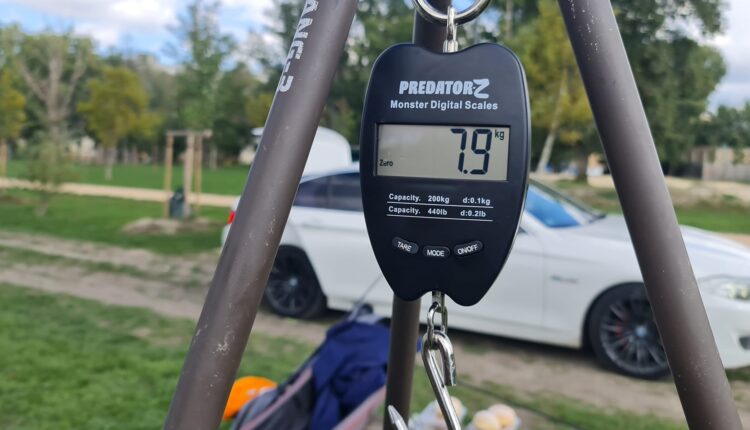 308700943_6183398981686844_720647773681474825_n