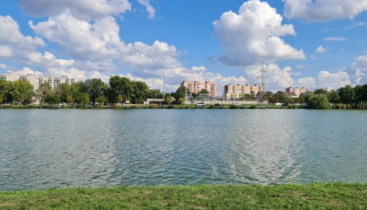 308710732_6183399468353462_1484640196246962322_n