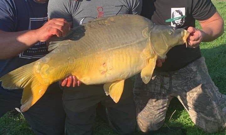 308722180_6183682131658529_6361465236848049554_n