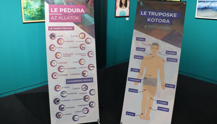 313957200_140272225427166_3398414059585019677_n