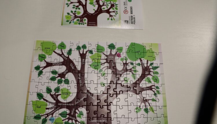 313978237_140273048760417_158838966286889083_n