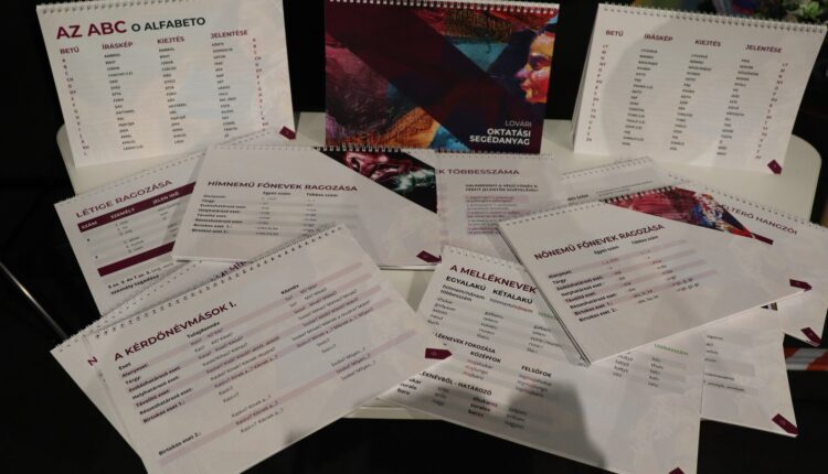 314021646_140272255427163_2656668243614859254_n