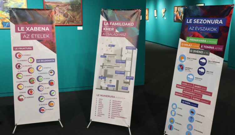 314482144_140272615427127_6357390149026534234_n